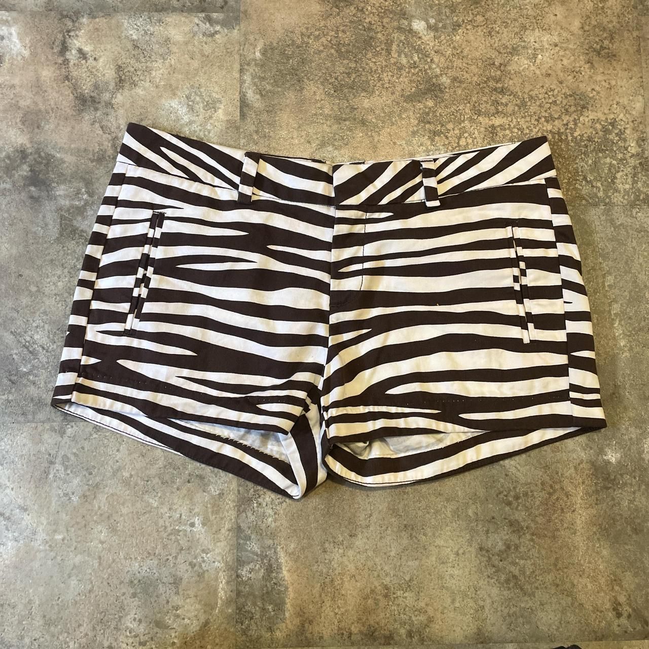 Jc Penny Brown And White Lowrise Zebra Print Chino Shorts With Pockets Size 4
